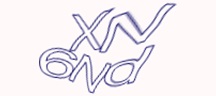 Visual Challenge